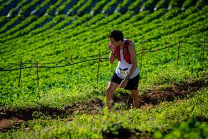 BIB: 
                            <button type="button" onclick="openModal(19160488)" class="btn btn-primary btn-sm float-right btn-popup" data-toggle="modal" data-target=".modal-high-quality">
                        <i class="fas fa-shopping-cart"></i> Add to Cart
                    </button>
                                            <button type="button" onclick="isThisMe(19160488, true)" class="btn btn-success btn-sm float-right btn-popup btn-isme hidden" data-toggle="tooltip" data-placement="bottom" title="นี่คือรูปของคุณใช่ไหม คลิกที่นี่เพื่อเอาเข้าอัลบั้ม">
                        <i class="fas fa-plus"></i> Add to album
                    </button>
                    <button type="button" onclick="isThisMe(19160488, false)" class="btn btn-warning btn-sm float-right btn-popup btn-isnotme hidden">
                        <i class="fas fa-ban"></i> Remove from album
                    </button>